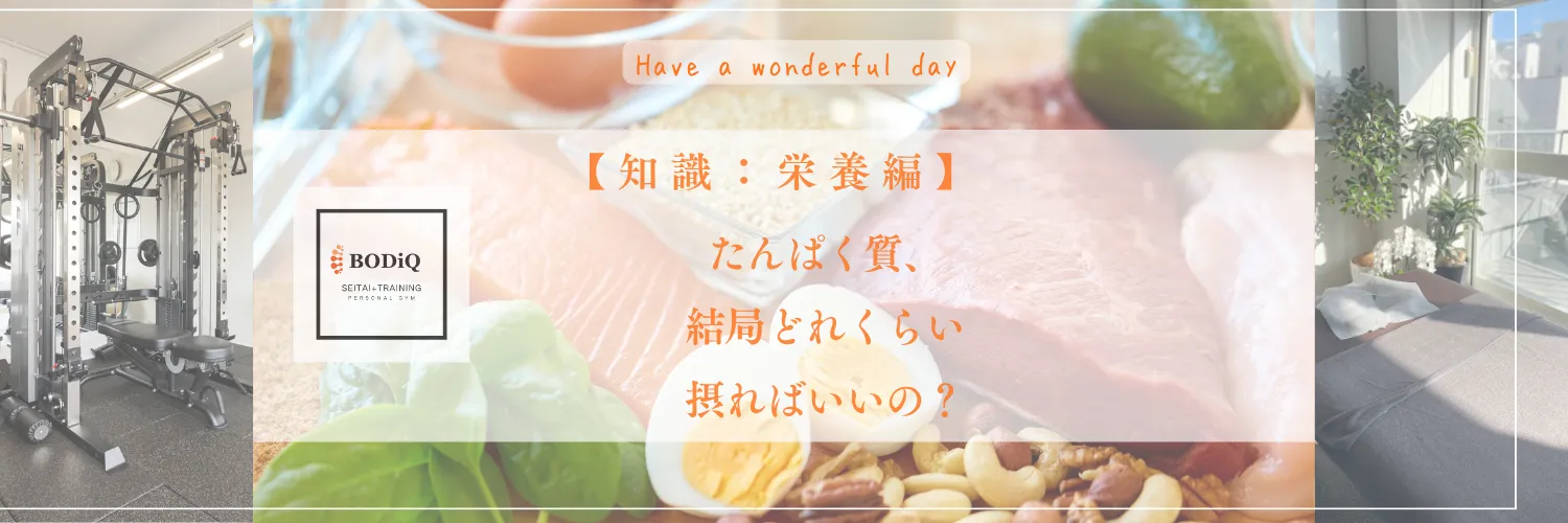 【知識：栄養編】たんぱく質、結局どれくらい摂ればいいの？
